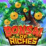 Bonsai of the Riches Bonsai of the Riches